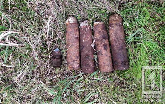 Эхо Второй мировой: недалеко от Кривого Рога женщина обнаружила боеприпасы