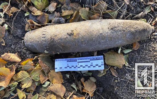 Недалеко от Кривого Рога обнаружили и уничтожили устаревшие боеприпасы