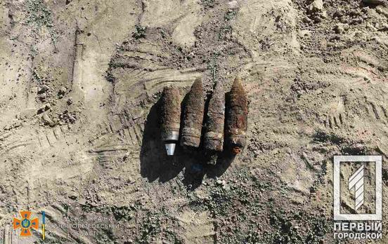 У селі під Кривим Рогом на приватній ділянці знайшли 28 застарілих боєприпасів