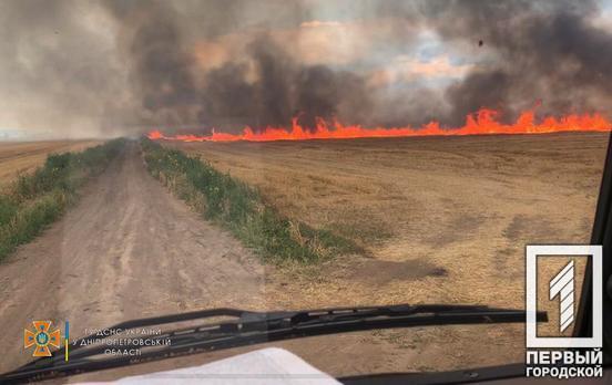 У селі неподалік від Кривого Рогу згоріло чотири гектара післяжнивних залишків пшениці