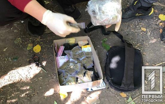 Пакетики с каннабисом, мобильный телефон и деньги: в Кривом Роге по подозрению в сбыте наркотиков задержали мужчину