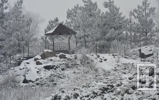 Зимняя красота: ботанический сад Кривого Рога затаился под снегом