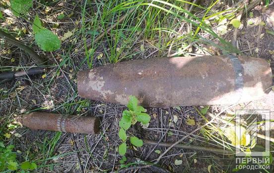 В Ингулецком районе Кривого Рога нашли миномётную мину времён Второй мировой войны