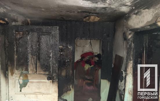 В Кривом Роге пострадали двое детей во время пожара в доме