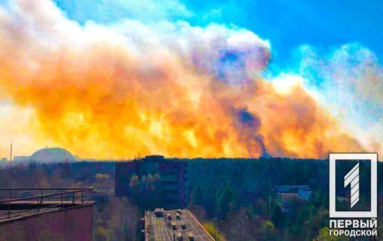 В зоне отчуждения выгорела часть Рыжего леса, огонь подступает к Припяти и хранилищу радиоактивных отходов, – заявление
