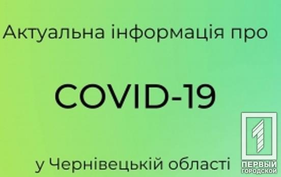 Губернатор Черновицкой области сообщил о том, что в регионе зафиксировали ещё 13 случаев COVID-19