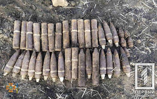 Недалеко от Кривого Рога нашли устаревшие боеприпасы