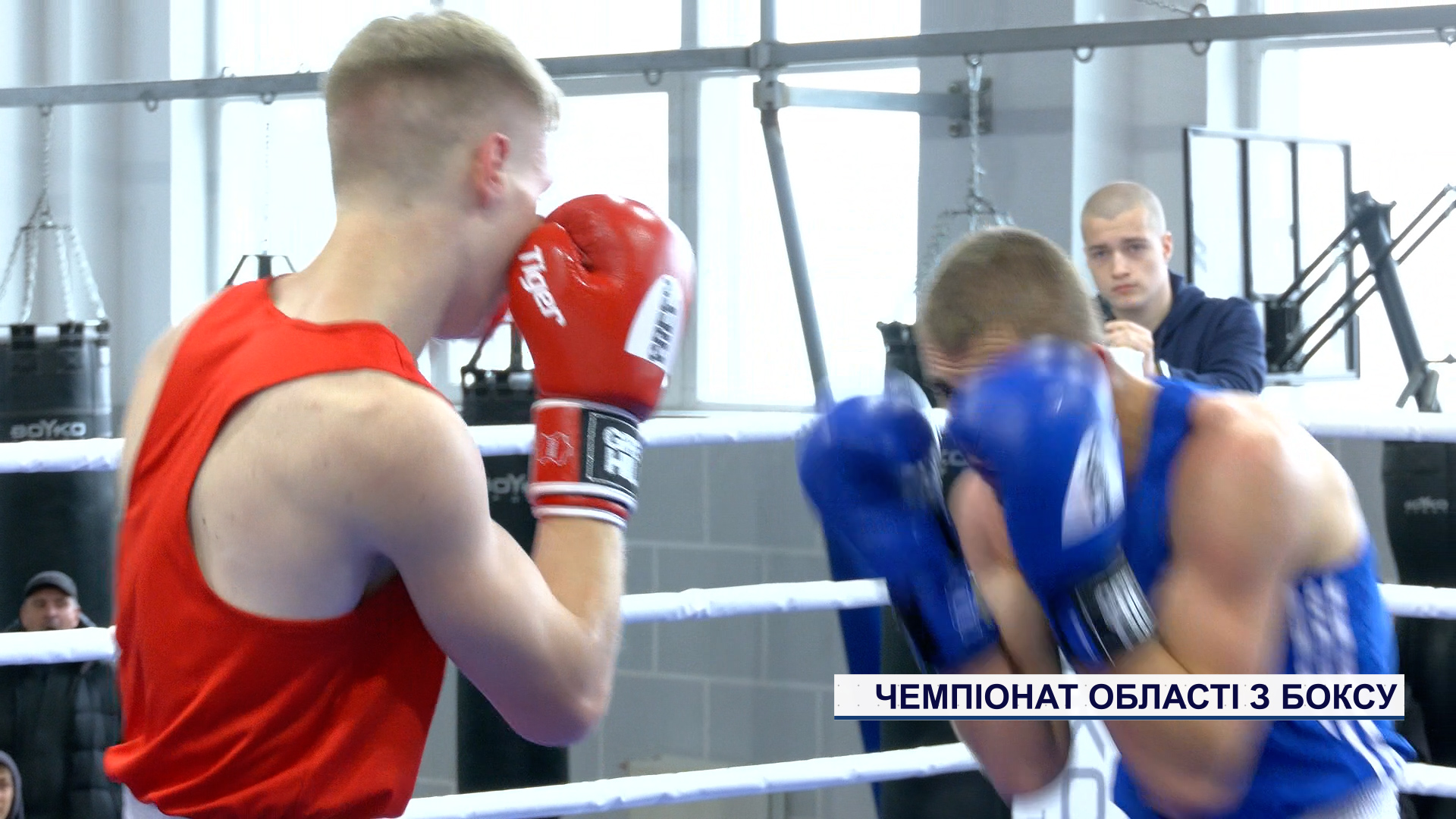 В Кривом Роге состоялся чемпионат области по боксу