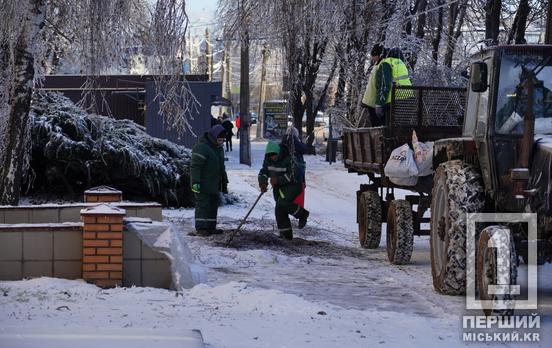 1750 прибраних гілок, запуск руху транспорту і відновлення електрики: у Раді оборони Кривого Рогу прокоментували поточну ситуацію в місті