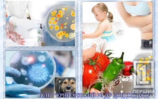 52 постраждалих через напади тварин та померла через гостру кишкову інфекцію дитина: звіт про епідемічну ситуацію на Криворіжжі