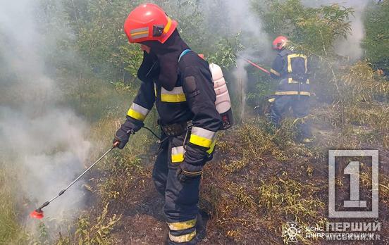 Людська недбалість нищить природу: рятувальники ліквідували 76 пожеж на відкритих територіях Дніпропетровщини