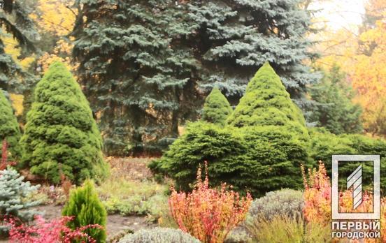 Колекції рослин Криворізького ботанічного саду надали статус національного надбання України