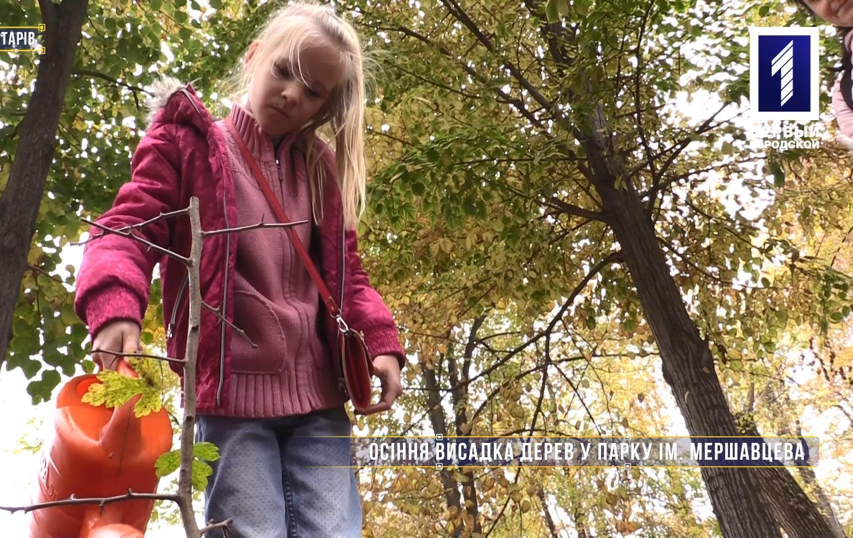 Без комментариев: осенняя высадка деревьев в парке им