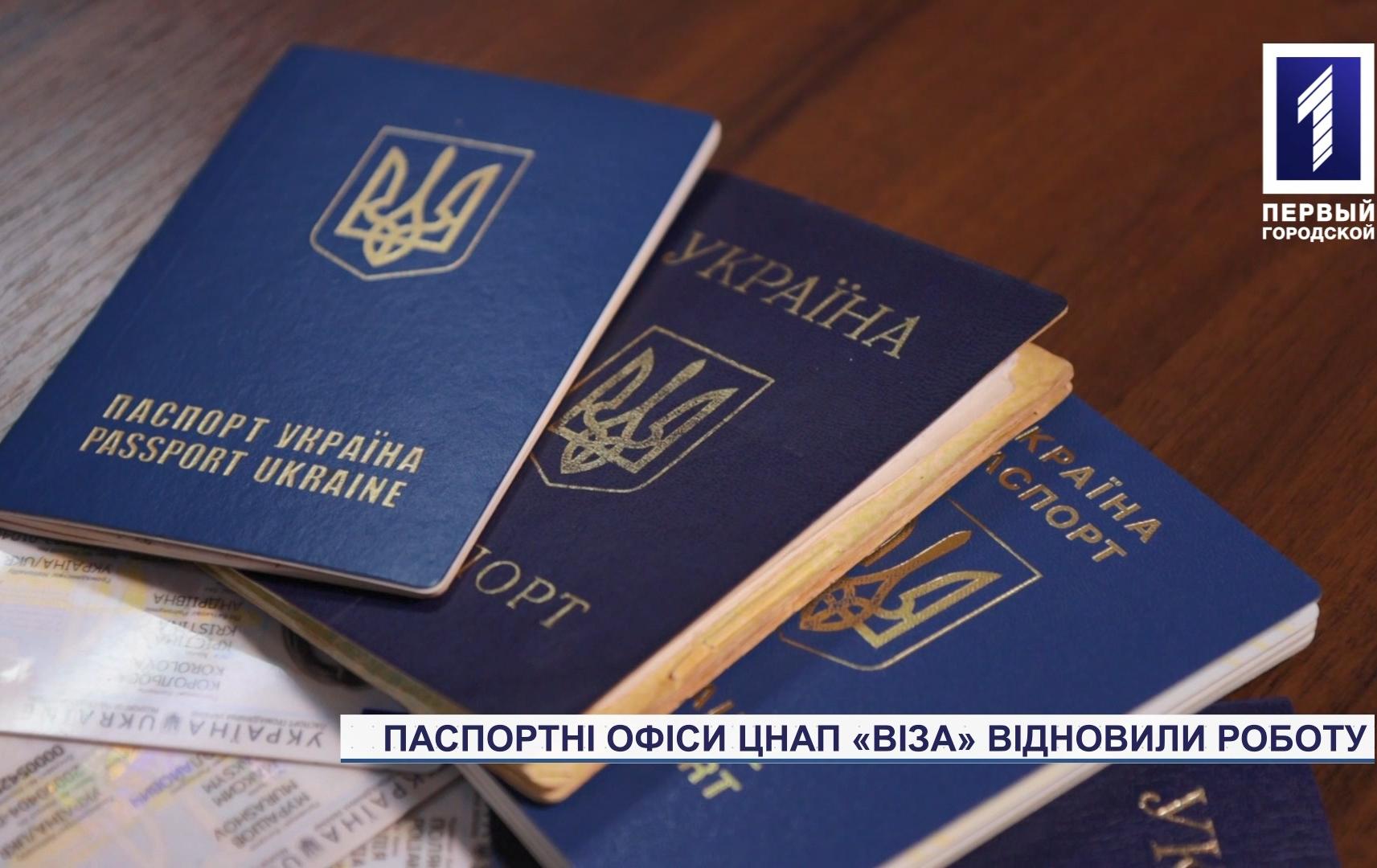 В Кривом Роге возобновили работу паспортные центры «Виза»