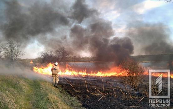 На берегу реки недалеко от Кривого Рога горели четыре гектара сухостоя
