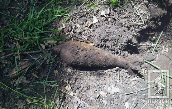 Гранаты, артснаряды и миномётная мина: под Кривым Рогом обнаружили устаревшую взрывчатку