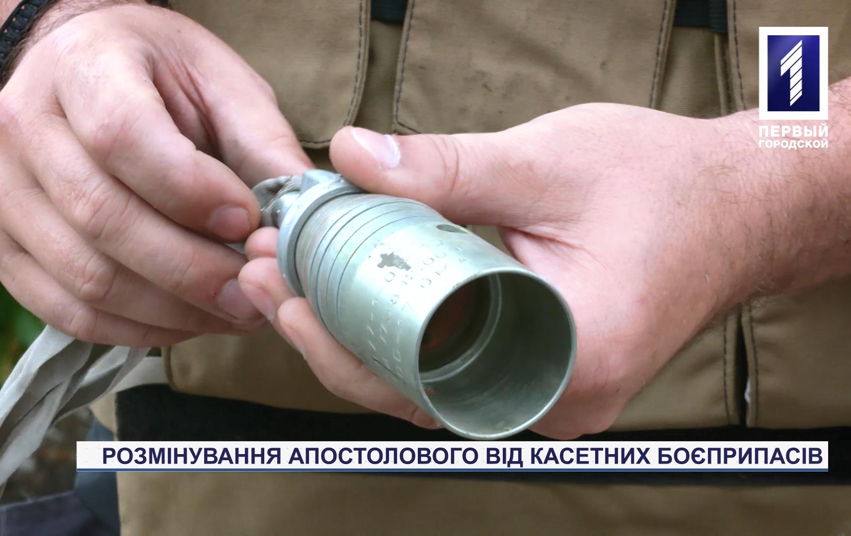 В Апостоловом Криворожского района провели разминирование от кассетных боеприпасов