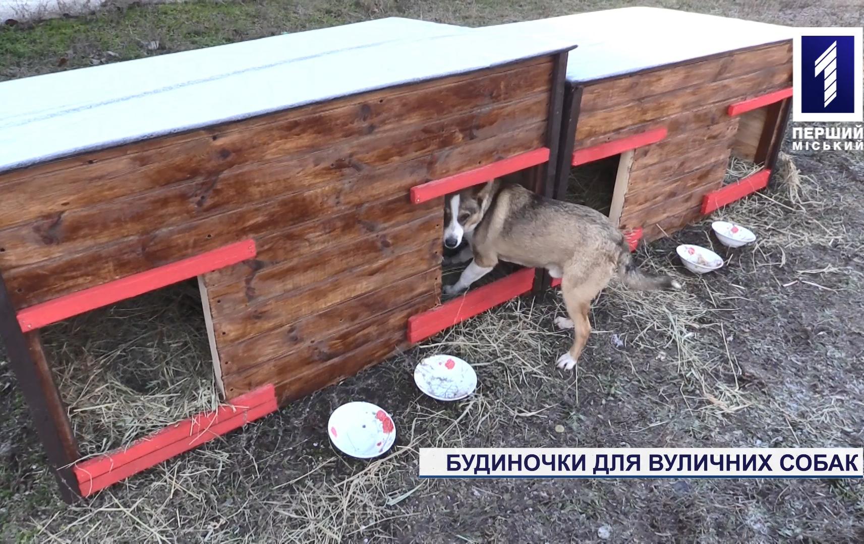 Будиночки для вуличних собак облаштували жителі Східного-2
