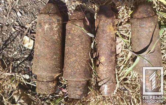 В Кривом Роге и окрестностях нашли боеприпасы времён Второй мировой