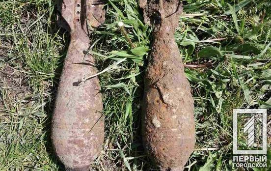 Под Кривым Рогом на огороде откопали два снаряда времён Второй мировой войны