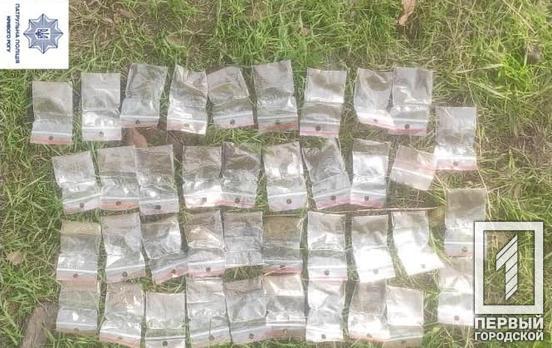 Почти 40 пакетиков с наркотиками: в Кривом Роге полиция обнаружила у мужчины запрещённые вещества