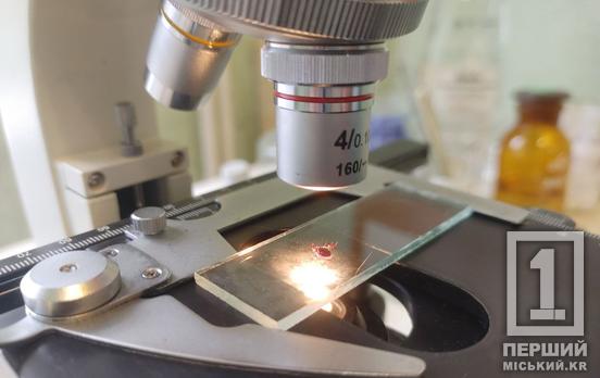 11 криворіжців цьогоріч отримали діагноз - бореліоз: лікарі нагадують про обережність