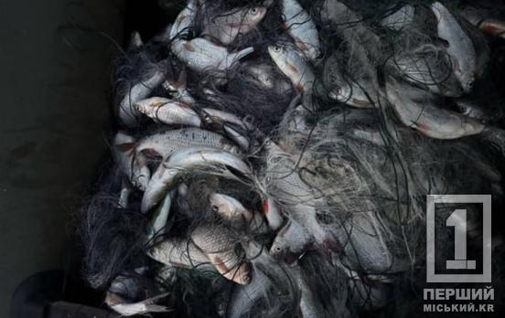 Рибалив попри нерестове табу: браконьєрство на Криворіжжі вилилося у понад 82 тисячі гривень збитків