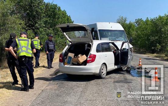 Лобова ДТП з маршруткою та постраждалим: у Кривому Розі судитимуть водія Skoda