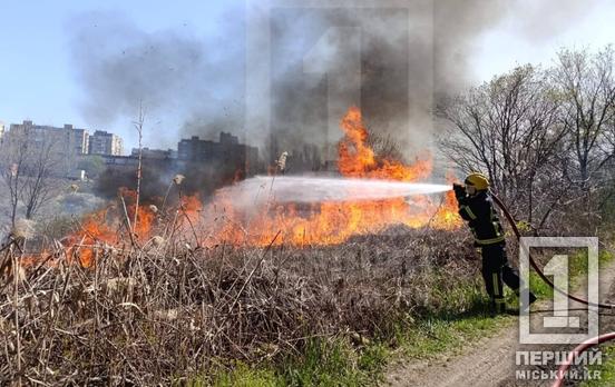 Півтора гектара зійшло на попіл: на Даманському вирувала масштабна пожежа