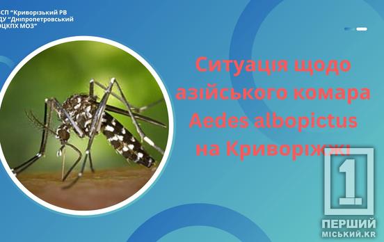 Паніка скасовується: на Дніпропетровщині немає небезпечних тигрових комарів