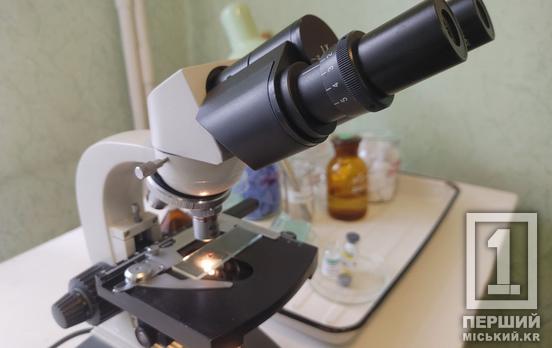 Майже в половину більше звернень: криворіжці скаржаться на педикульоз