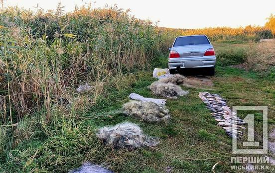 Витягнув з води майже 20 кг: у Тернівському районі Кривого Рогу викрили браконьєра, на «озброєнні» якого було 5 сіток