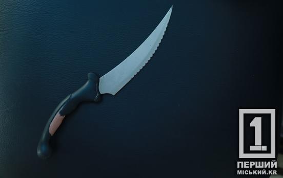 Холодна зброя проти рідної людини: у Кривому Розі донька вдарила матір ножем