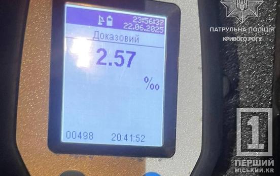 Наражав на ризик себе та інших: у Кривому Розі чоловік  кермував автобусом у нетверезому стані