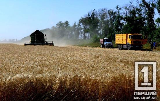 Пожинають результат цілорічної праці: на Криворіжжі завершили збір зернових та зернобобових культур