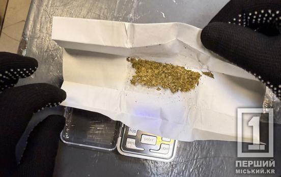 Мешканець Дніпропетровщини прямував до Польщі із заборонкою у взутті: «заначку» виявив службовий пес