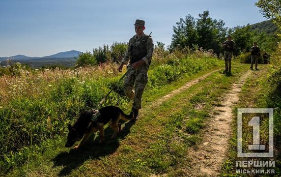 Планировали «путешествие» месяцами: двое товарищей из Днепропетровщины пытались карпатскими тропами попасть в Словакию