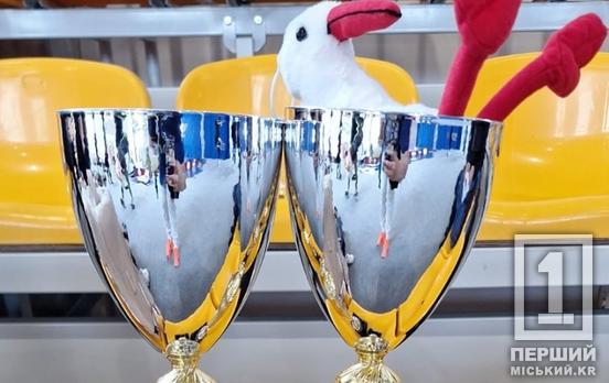 Талановиті криворіжці гідно захистили честь України на міжнародному рівні: стали чемпіонами Європи з сумо