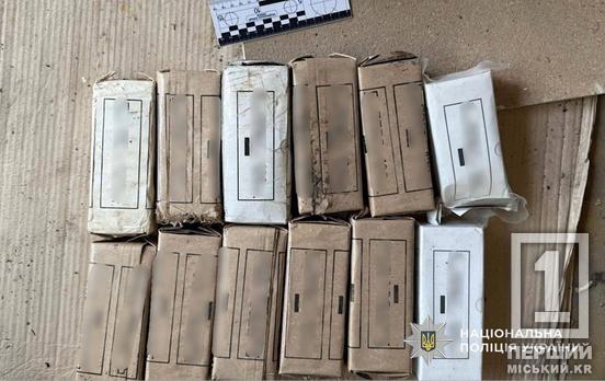 Гранатомети, міни й тисячі набоїв: криворіжець ховав у гаражі склад смертоносної зброї