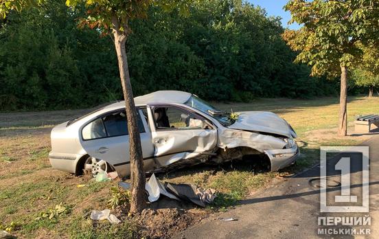 Водитель погиб на месте ДТП: на Днепровском шоссе Skoda столкнулась со столбом