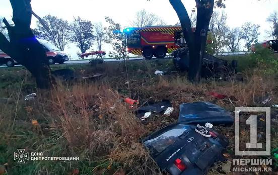 Смертельна ДТП на трасі Дніпро – Кривий Ріг: легковик врізався в дерево, загинув водій та травмовані троє пасажирок
