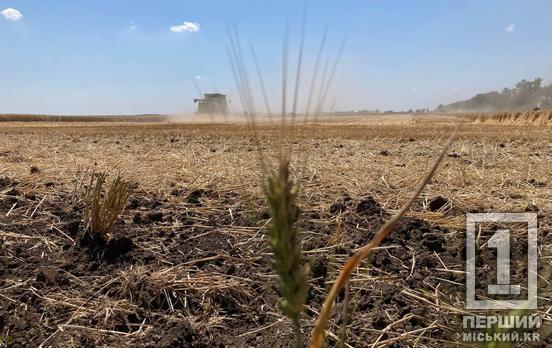 Дніпропетровщина очолила рейтинг вартості сільгоспземлі серед прифронтових регіонів