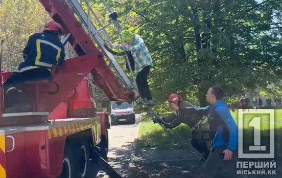 Спускали автодрабиною та виносили на свіже повітря: надзвичайники врятували жінку та двох дітей під час пожежі на Інгульці