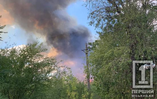 Окружна у вогні та диму: у Кривому Розі горів сухостій