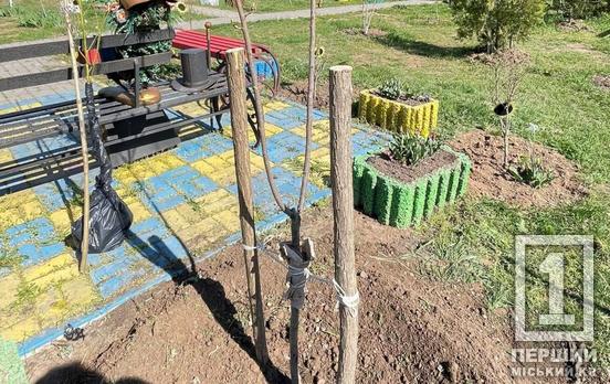 Спогади про подвиги не тільки у думках, а й у прекрасних квітках: у Кривому Розі на честь Сергія Нежигая висадили сакуру