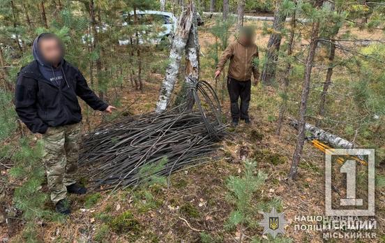 Жителі Дніпропетровщини організували банду для розкрадання залізниці на прикордонні Сумщини: підозрюють 13 людей