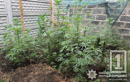 «Страсть» к наркотикам довела до нового суда: в Криворожском районе перед Фемидой предстанет 42-летний мужчина