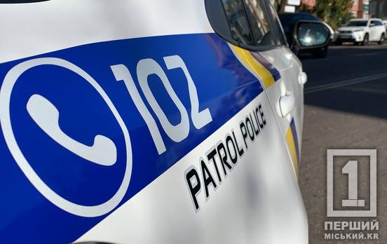 За алкогольний вчинок – 850 грн штрафу: у Кривому Розі покарали нетверезу жінку