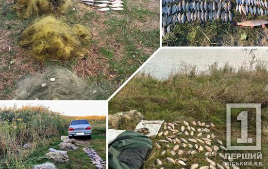 У вересні порушники отримали 24 922 грн штрафів і завдали 2 191 725 грн збитків: Дніпропетровський рибоохоронний патруль доповів про результати рейдів