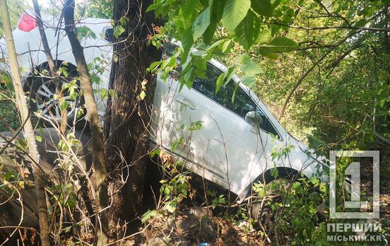 «Мордою» трощив кущі: на Нікопольському шосе серйозно занесло Toyota